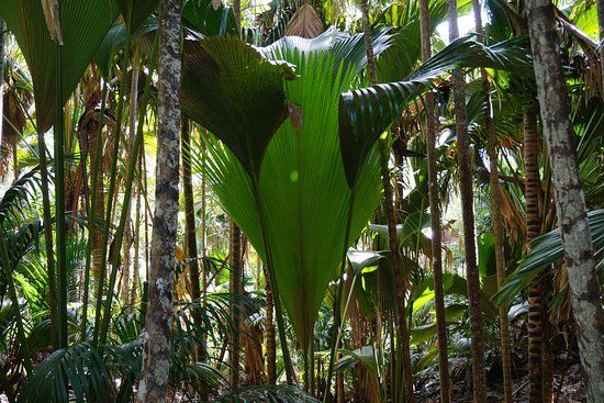Reserva Natural del Valle de Mai